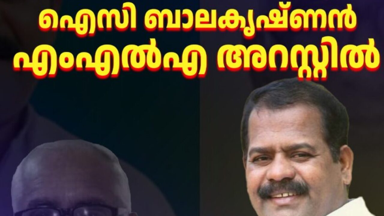 WhatsApp Image 2025-01-25 at 12.55.34 PM