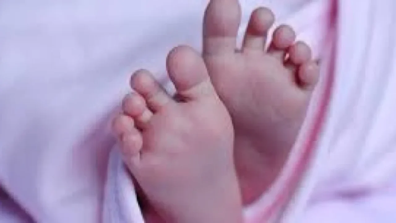 baby