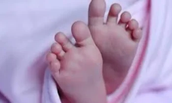 baby