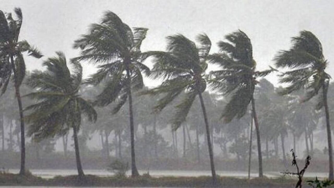 Rain
