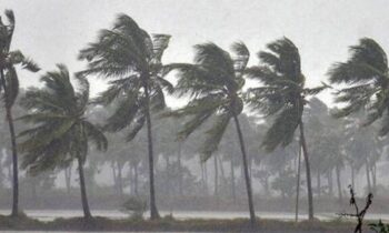Rain