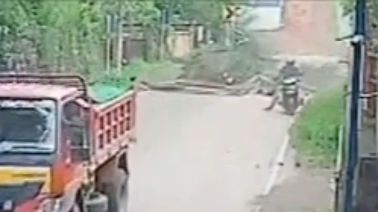 tree-fell-on-bike
