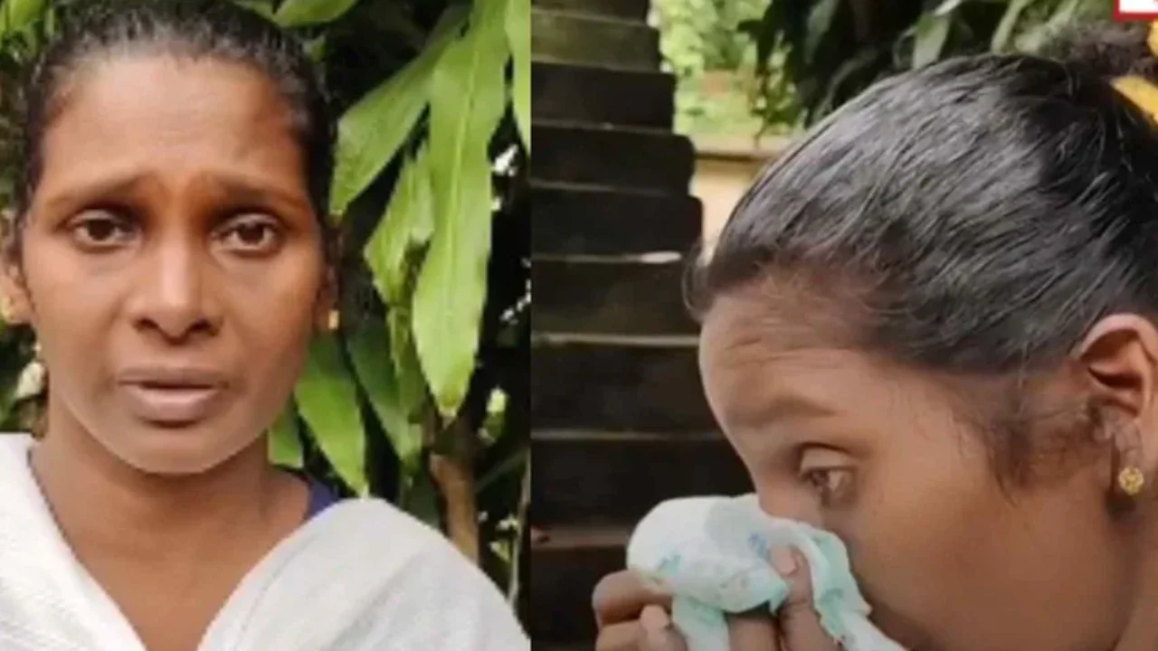 bindu