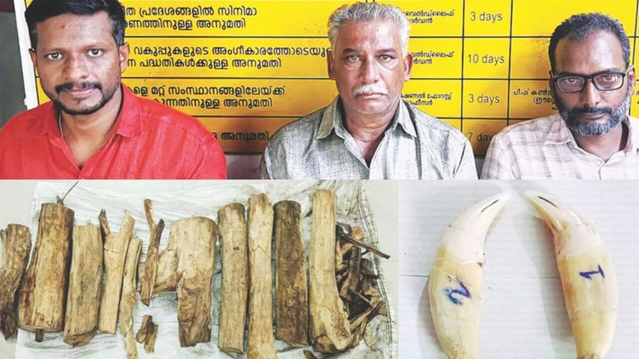 crime-attapady