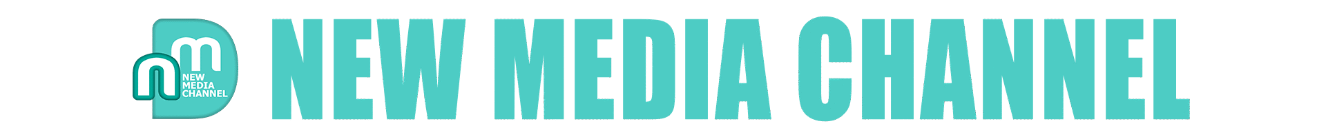 N media Logo