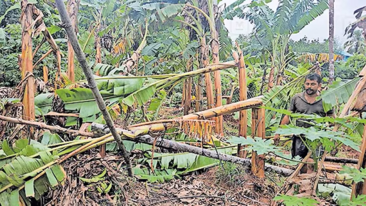 rain-damage1