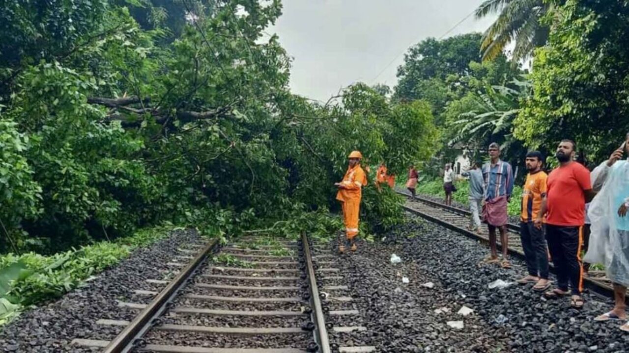 tree-fell-railway-track-kozhikode-