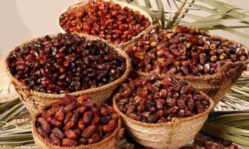 Zadina_Gourmet_Dates_Hero